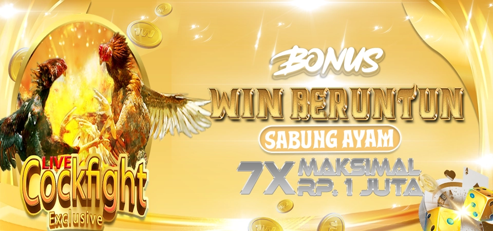 Bonus Sabung Ayam 100% Winstreak - TITANBET138