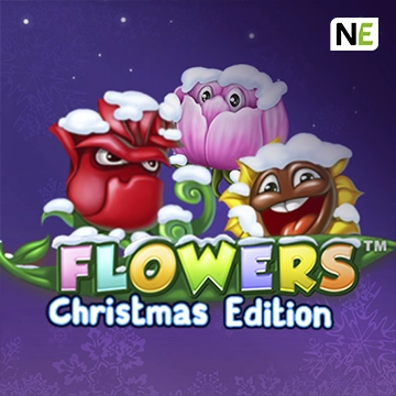 Flowers Christmas Edition - TITANBET138