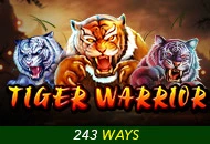 Spadegaming : Tiger Warrior - TITANBET138