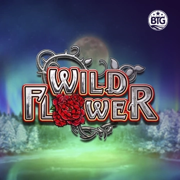 Bigtime : Wild Flower - TITANBET138