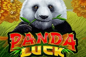 Panda Luck - TITANBET138